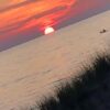 IMG_2284