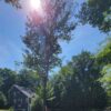 mi-lakeshore-rental-management-albion-cottage-22