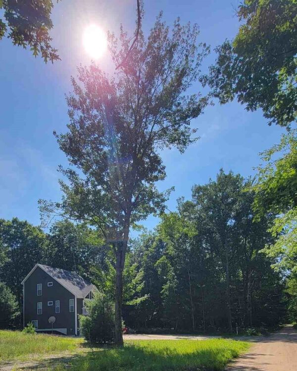 mi-lakeshore-rental-management-albion-cottage-22