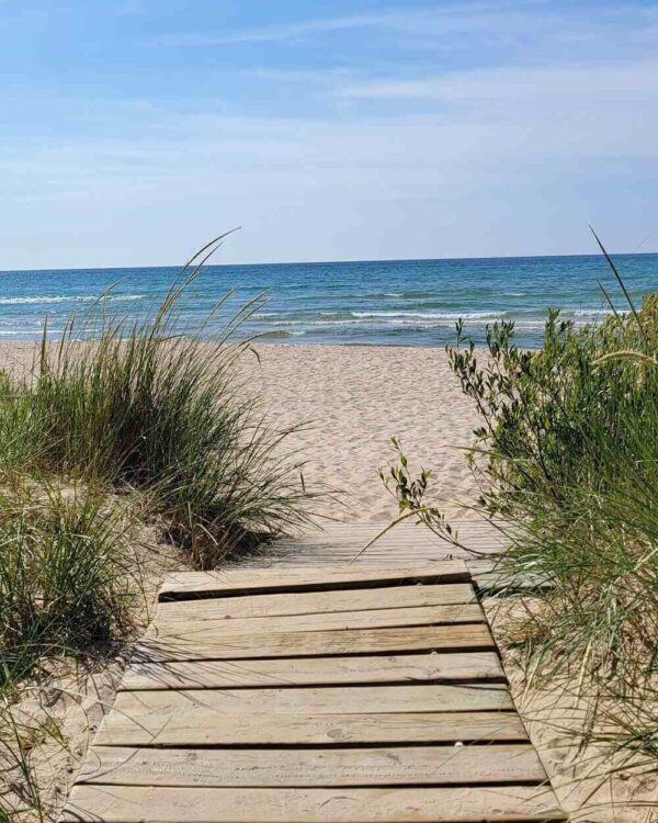 mi-lakeshore-rental-management-albion-cottage-26