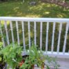mi-lakeshore-rental-management-albion-cottage-33